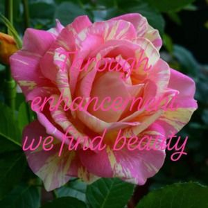 Meet your Posher, Opal